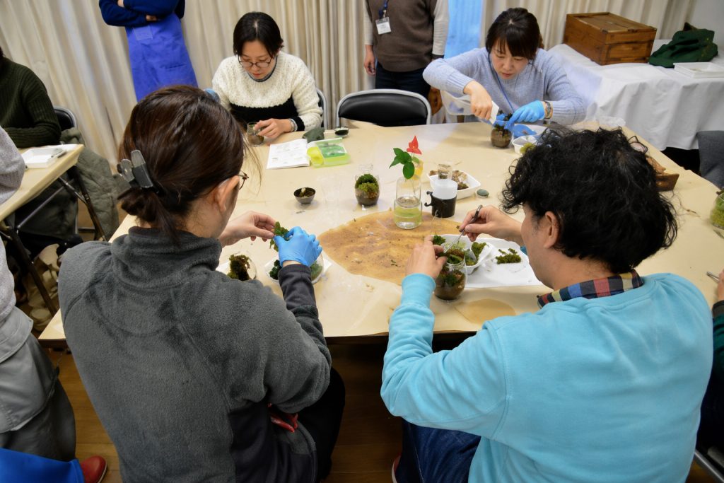 【養沢苔プロジェクト】
モスアリウム体験プログラム